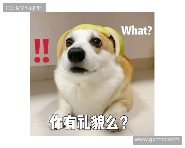 狗头吐槽:难道一波和波波的实力差距真有这么大吗 狗头吐槽:难道一波和波波的实力差距真有这么大吗