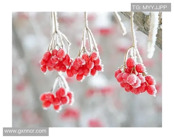 霜降时节来临第五人格二十四节气演绎录之霜降篇即将震撼上线 霜降时节来临第五人格二十四节气演绎录之霜降篇即将震撼上线