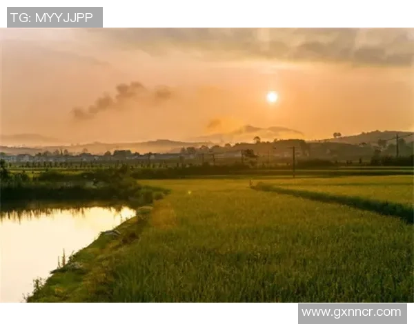韩服新玩法奥恩AP流崛起1秒触发十次易碎伤害让人目瞪口呆